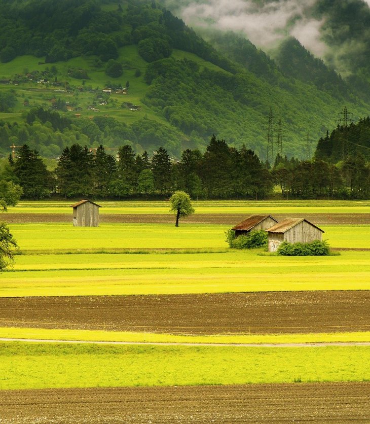 Are We Working Too Much ?