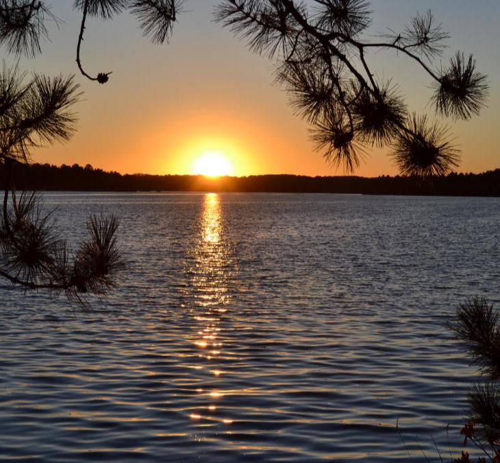 Simone Weil, John Muir, and the Problem of Separateness